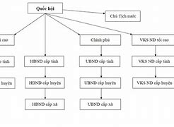 Chi Cục Trưởng Là Gì