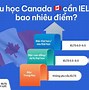 Du Học Canada Cần Ielts Bao Nhiêu